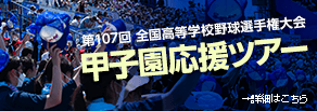 全国高等学校野球選手権大会甲子園応援ツアーのお知らせ